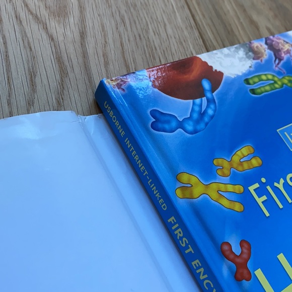 Usborne | books | First Encyclopedia of the Human Body - Picture 5 of 9